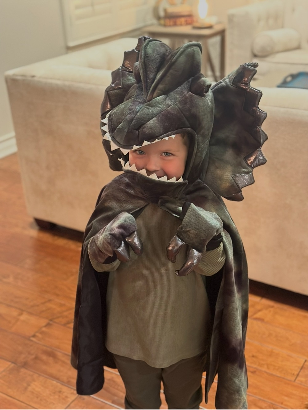 Great Pretenders Dark Green Dragon Costume Hooded Cape with Claws Size 4-6